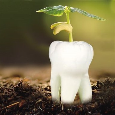 特大喜讯！！康盈医院口腔科种植牙项目正式启动啦！(图1)