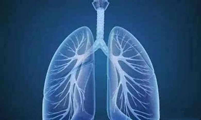 镜下灌洗显温情，一面锦旗道万恩(图2)