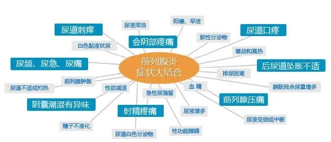 震撼！不开刀切掉超大增生前列腺(图1)