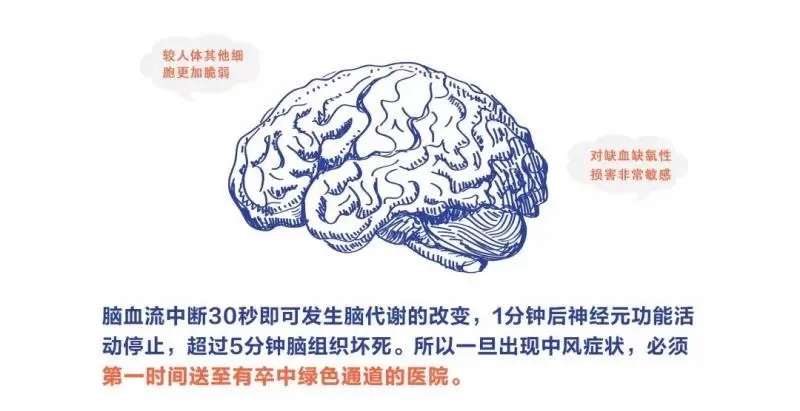 生死时速、“一路绿灯”，急性脑梗死患者及时溶栓获救(图2)