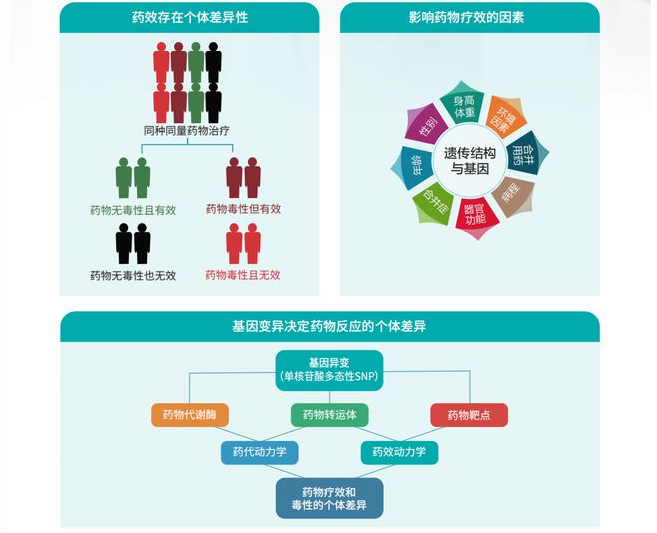 确认过基因，遇上对的药|药物基因检测，确保用药更精准(图3)